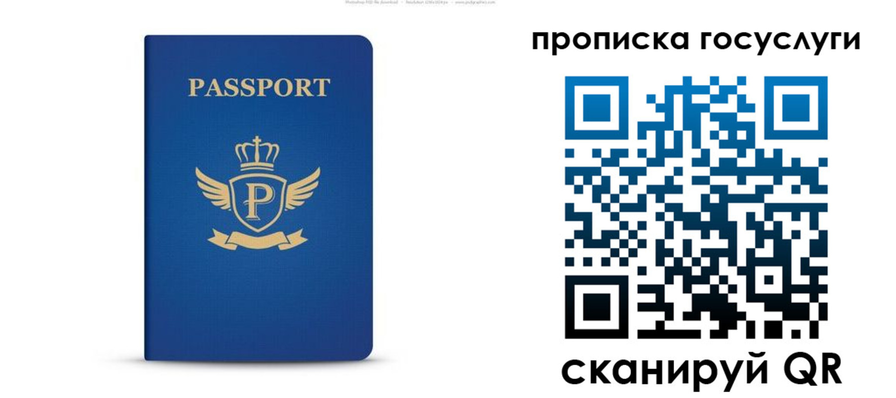 прописка для школы в Сосновке